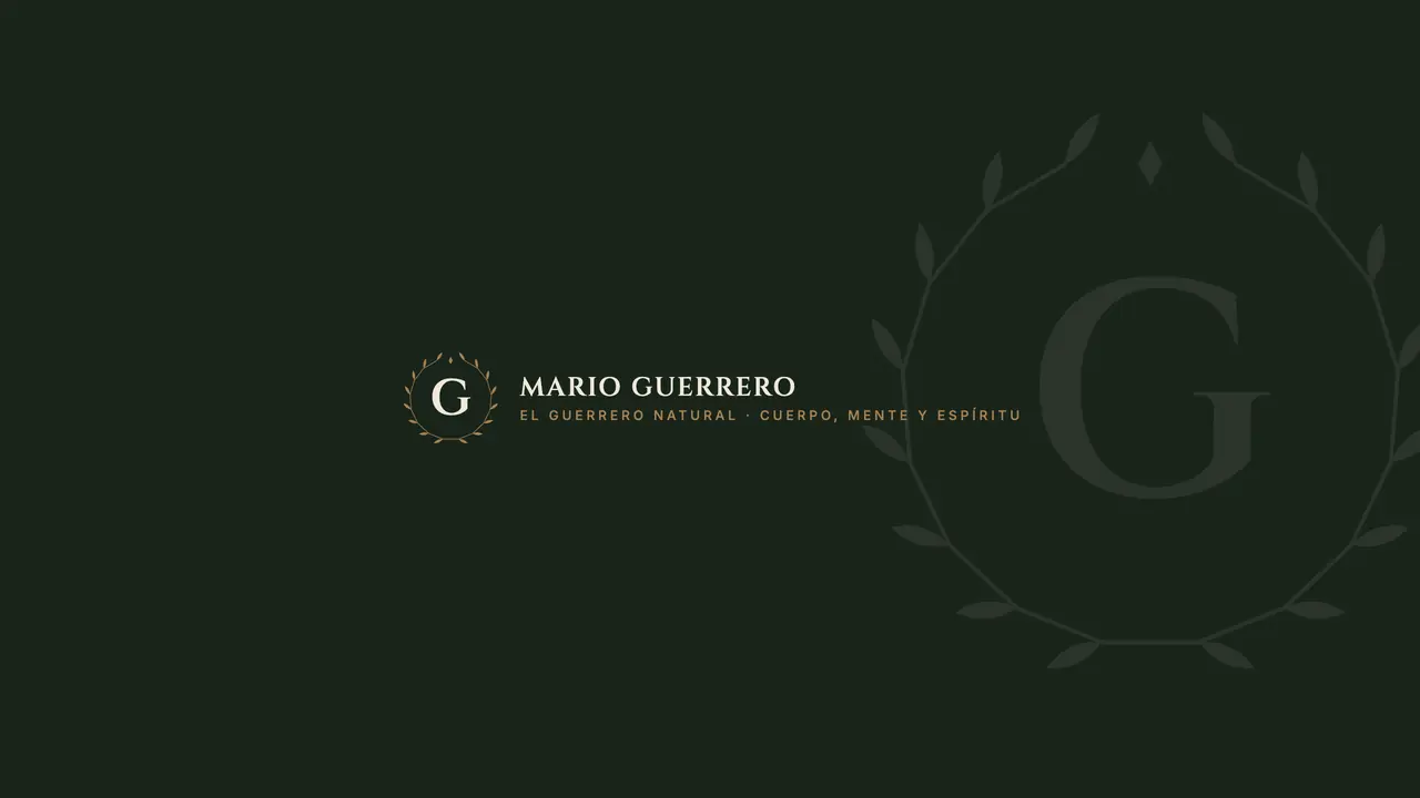 Banner del canal de YouTube